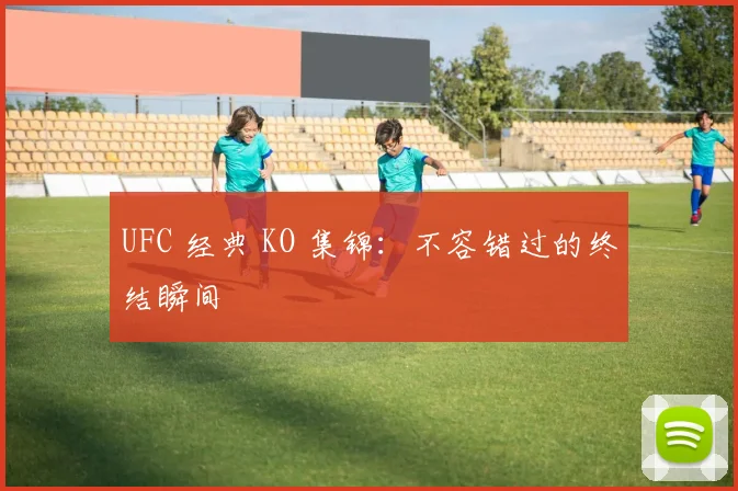 UFC 经典 KO 集锦：不容错过的终结瞬间