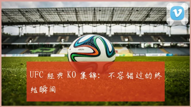 UFC 经典 KO 集锦：不容错过的终结瞬间