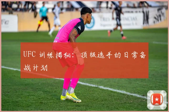 UFC 训练揭秘:顶级选手的日常备战计划